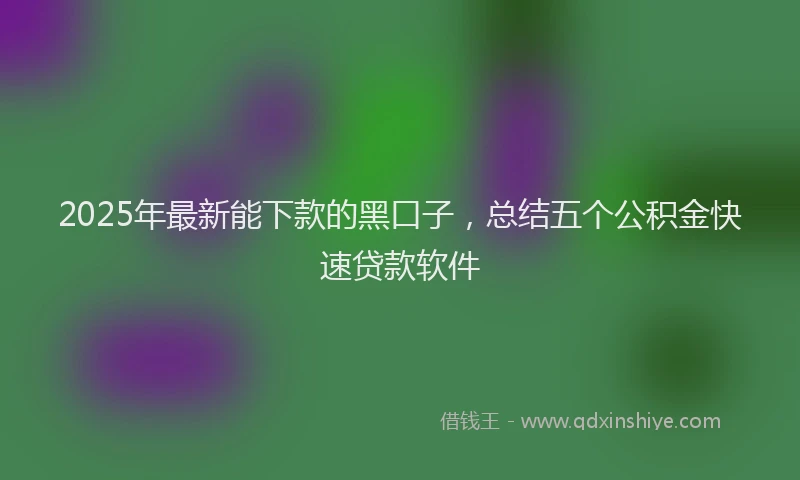 2025年最新能下款的黑口子，总结五个公积金快速贷款软件