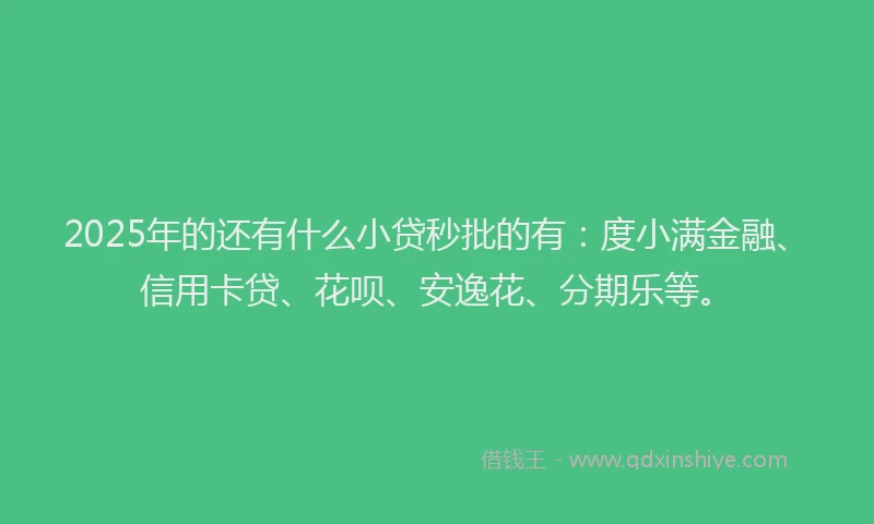 2025年的还有什么小贷秒批的有：度小满金融、信用卡贷、花呗、安逸花、分期乐等。