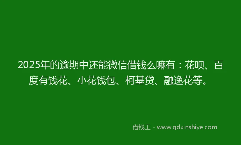 2025年的逾期中还能微信借钱么嘛有：花呗、百度有钱花、小花钱包、柯基贷、融逸花等。
