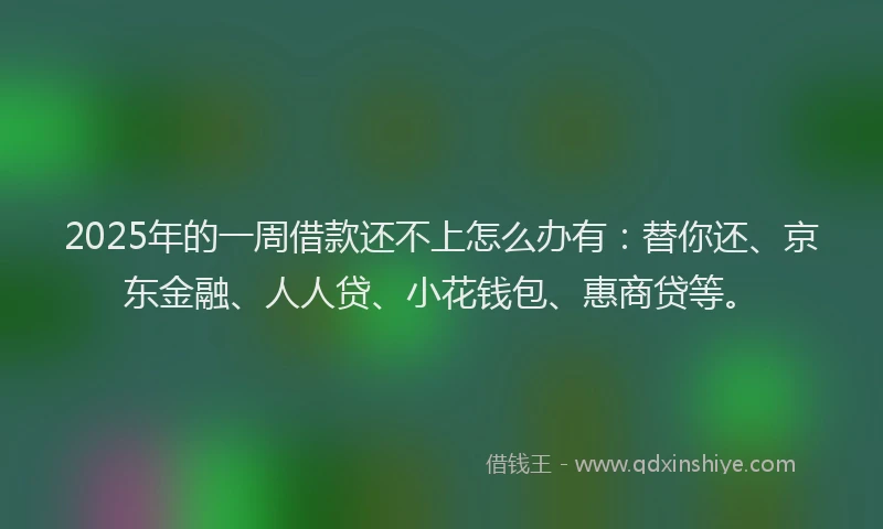 2025年的一周借款还不上怎么办有：替你还、京东金融、人人贷、小花钱包、惠商贷等。