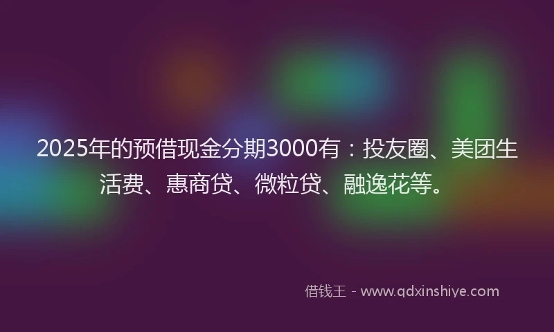 2025年的预借现金分期3000有：投友圈、美团生活费、惠商贷、微粒贷、融逸花等。