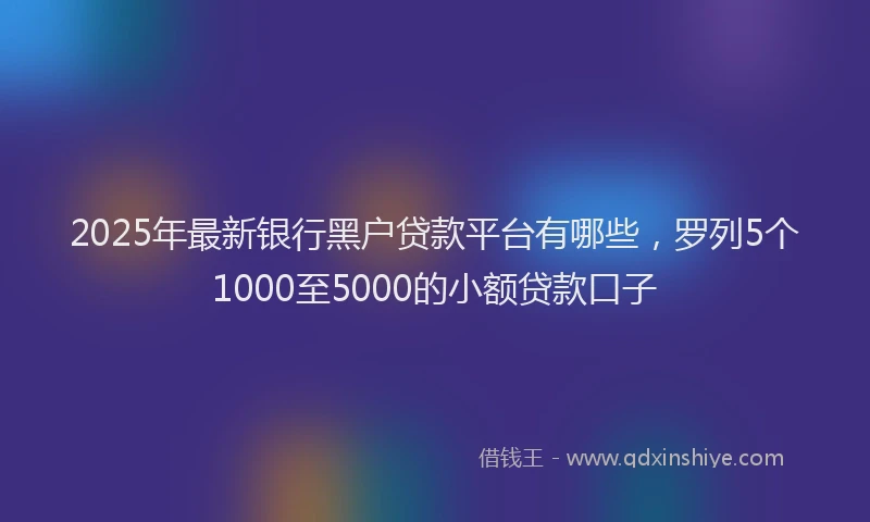 2025年最新银行黑户贷款平台有哪些，罗列5个1000至5000的小额贷款口子