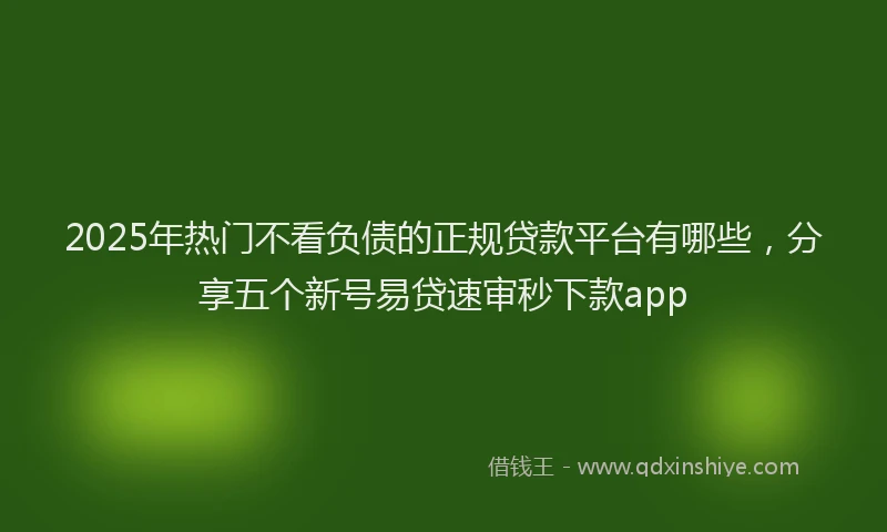 2025年热门不看负债的正规贷款平台有哪些，分享五个新号易贷速审秒下款app