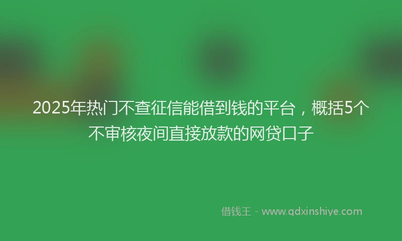 2025年热门不查征信能借到钱的平台，概括5个不审核夜间直接放款的网贷口子
