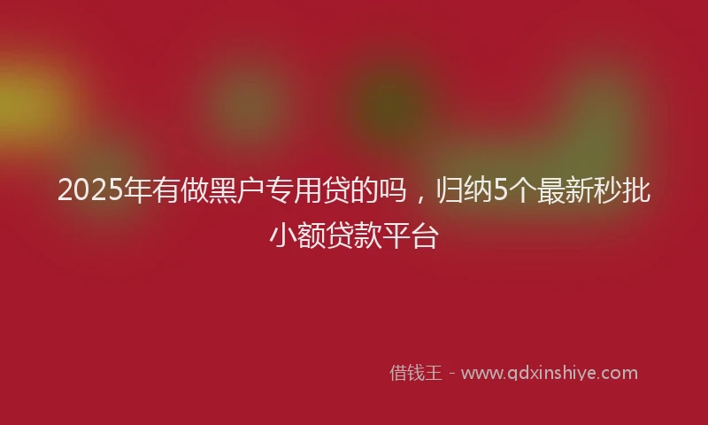 2025年有做黑户专用贷的吗，归纳5个最新秒批小额贷款平台