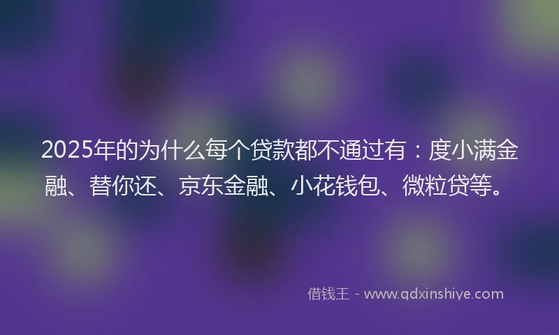 2025年的为什么每个贷款都不通过有：度小满金融、替你还、京东金融、小花钱包、微粒贷等。