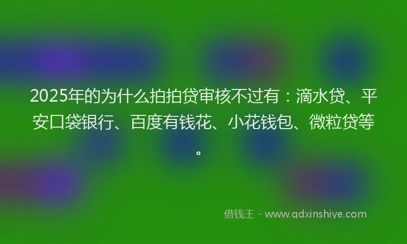 2025年的为什么拍拍贷审核不过有：滴水贷、平安口袋银行、百度有钱花、小花钱包、微粒贷等。