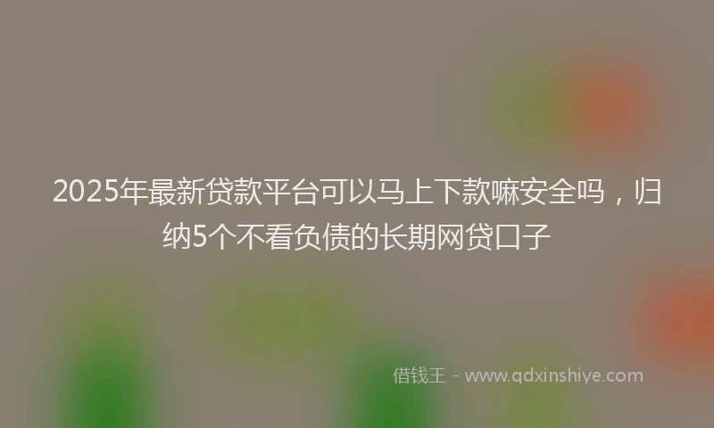 2025年最新贷款平台可以马上下款嘛安全吗，归纳5个不看负债的长期网贷口子