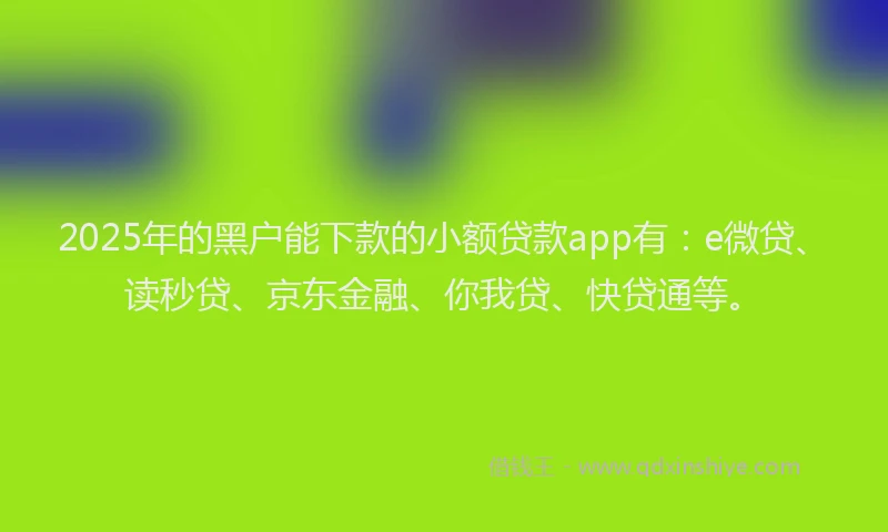 2025年的黑户能下款的小额贷款app有：e微贷、读秒贷、京东金融、你我贷、快贷通等。