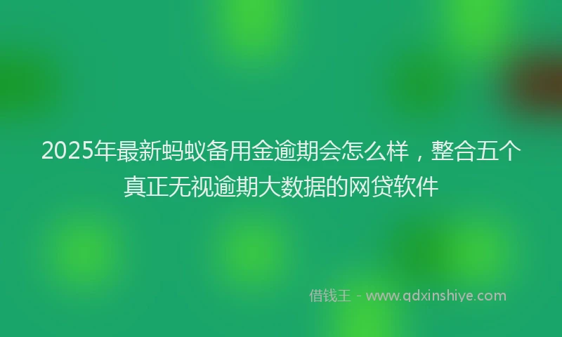 2025年最新蚂蚁备用金逾期会怎么样，整合五个真正无视逾期大数据的网贷软件