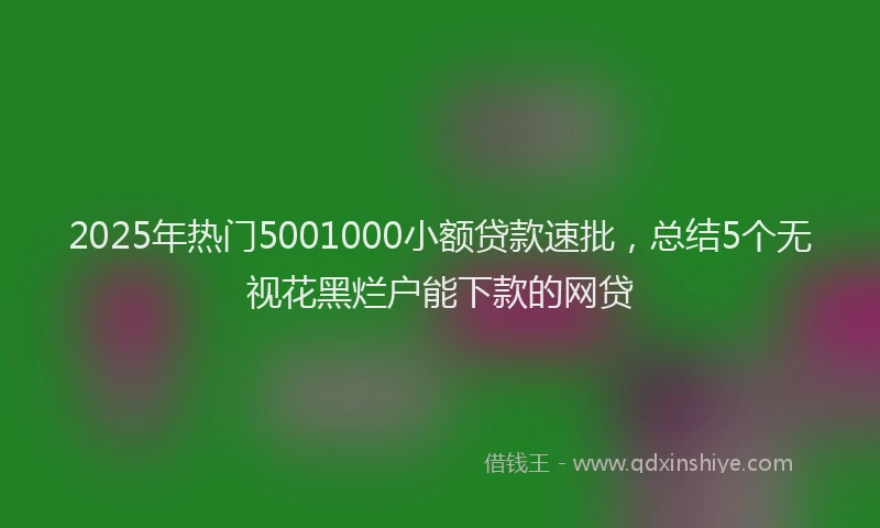 2025年热门5001000小额贷款速批，总结5个无视花黑烂户能下款的网贷
