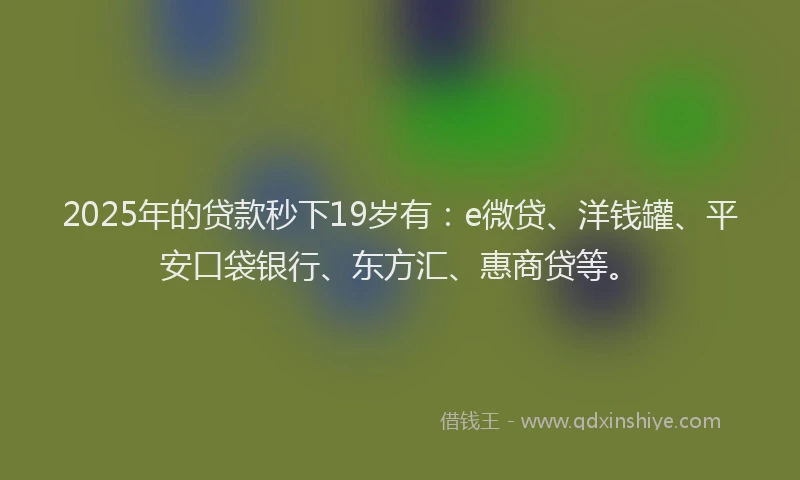 2025年的贷款秒下19岁有：e微贷、洋钱罐、平安口袋银行、东方汇、惠商贷等。