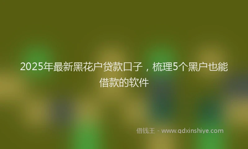 2025年最新黑花户贷款口子，梳理5个黑户也能借款的软件