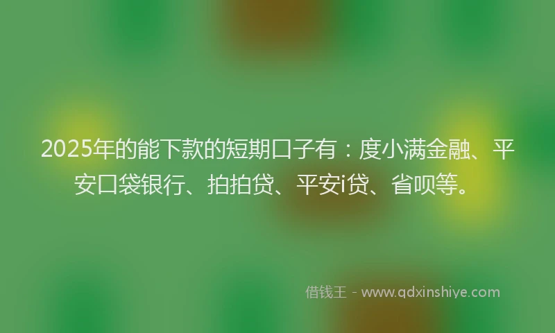 2025年的能下款的短期口子有：度小满金融、平安口袋银行、拍拍贷、平安i贷、省呗等。