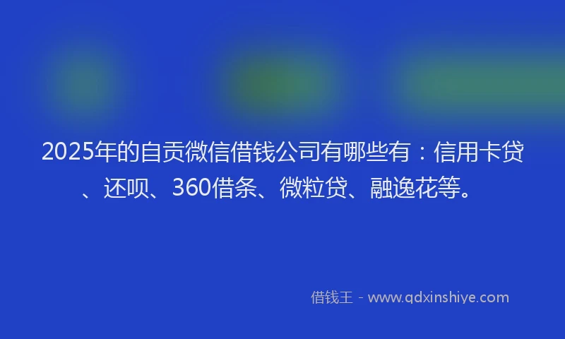2025年的自贡微信借钱公司有哪些有：信用卡贷、还呗、360借条、微粒贷、融逸花等。
