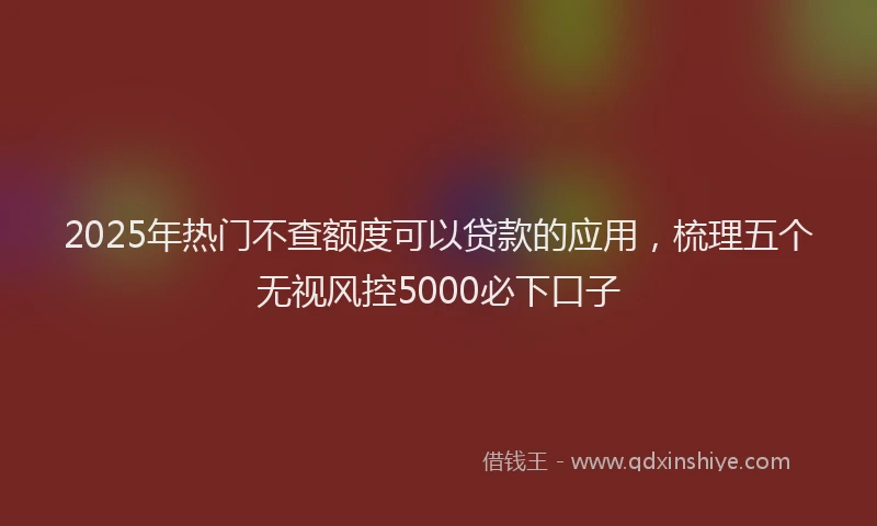 2025年热门不查额度可以贷款的应用，梳理五个无视风控5000必下口子