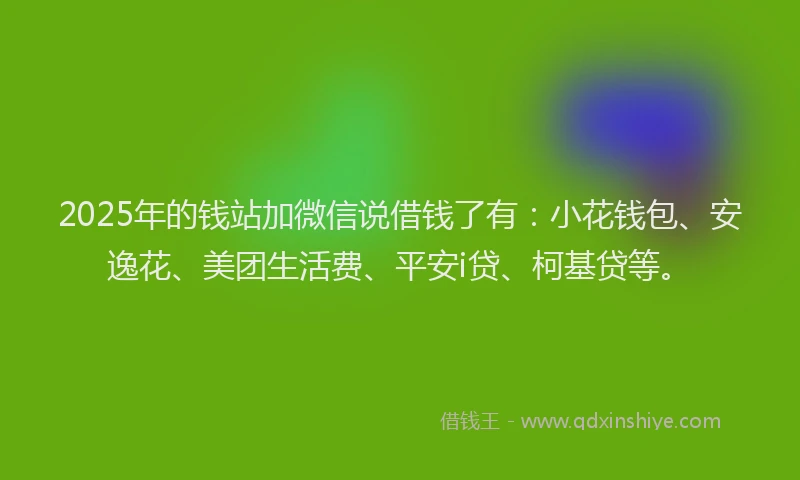 2025年的钱站加微信说借钱了有：小花钱包、安逸花、美团生活费、平安i贷、柯基贷等。