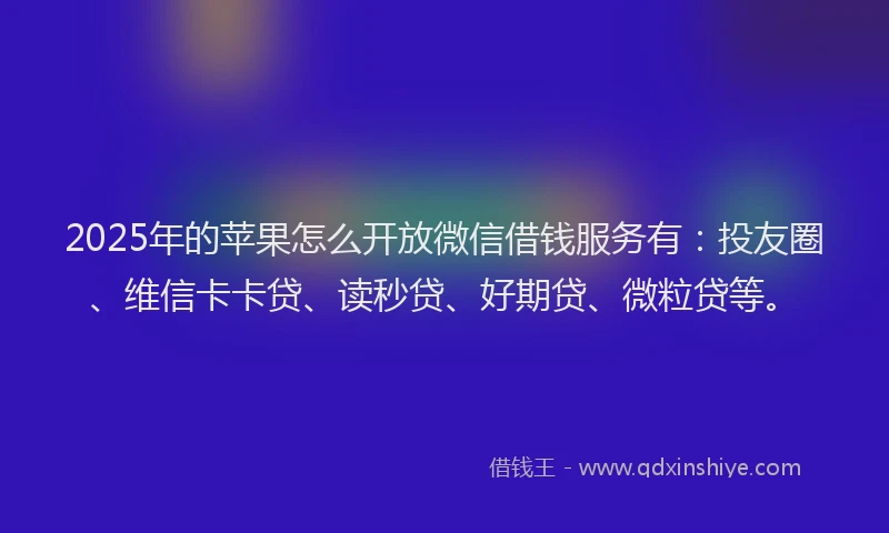 2025年的苹果怎么开放微信借钱服务有：投友圈、维信卡卡贷、读秒贷、好期贷、微粒贷等。