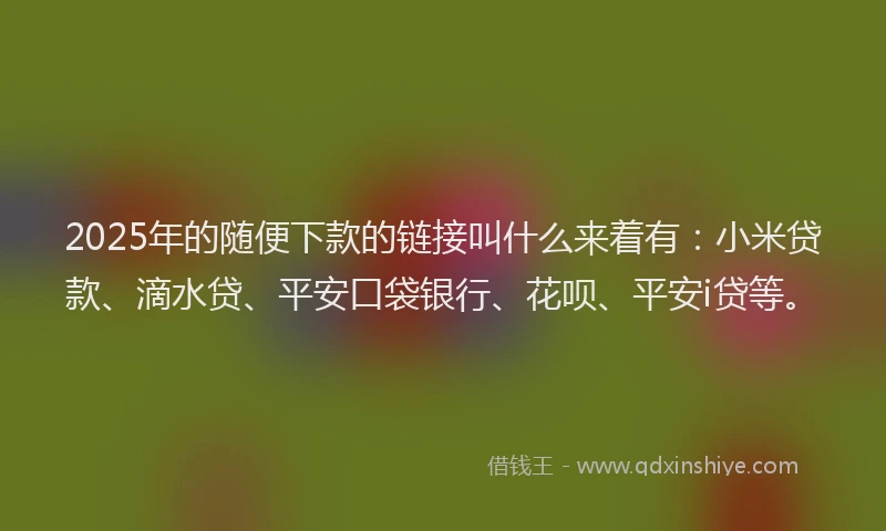 2025年的随便下款的链接叫什么来着有：小米贷款、滴水贷、平安口袋银行、花呗、平安i贷等。
