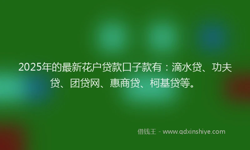 2025年的最新花户贷款口子款有：滴水贷、功夫贷、团贷网、惠商贷、柯基贷等。