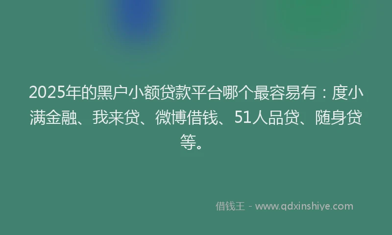 2025年的黑户小额贷款平台哪个最容易有：度小满金融、我来贷、微博借钱、51人品贷、随身贷等。