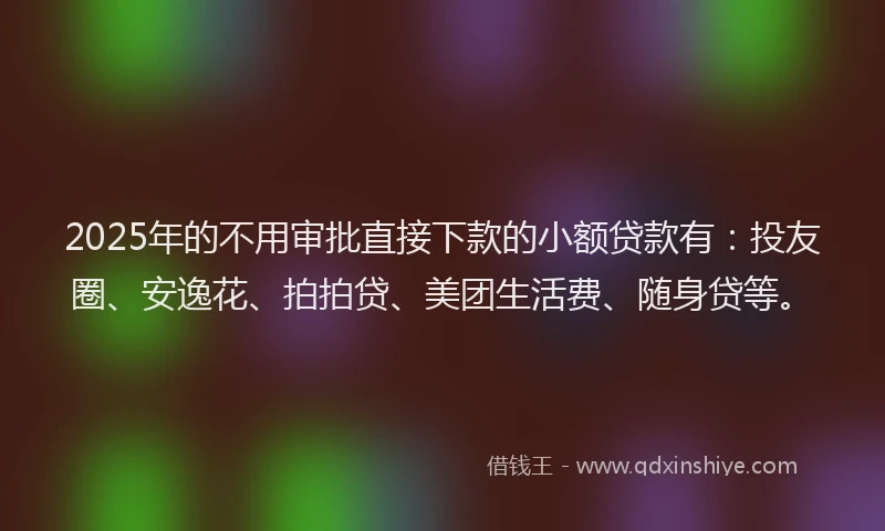 2025年的不用审批直接下款的小额贷款有：投友圈、安逸花、拍拍贷、美团生活费、随身贷等。
