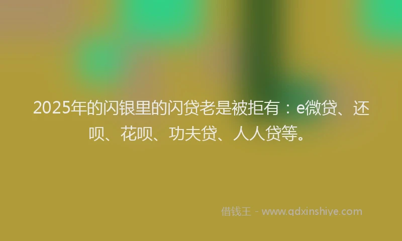 2025年的闪银里的闪贷老是被拒有：e微贷、还呗、花呗、功夫贷、人人贷等。