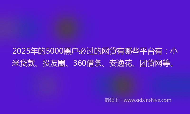 2025年的5000黑户必过的网贷有哪些平台有：小米贷款、投友圈、360借条、安逸花、团贷网等。
