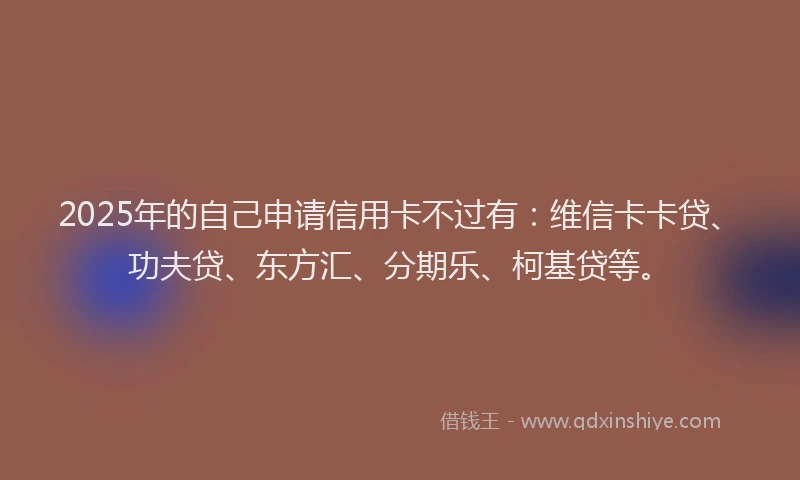 2025年的自己申请信用卡不过有：维信卡卡贷、功夫贷、东方汇、分期乐、柯基贷等。