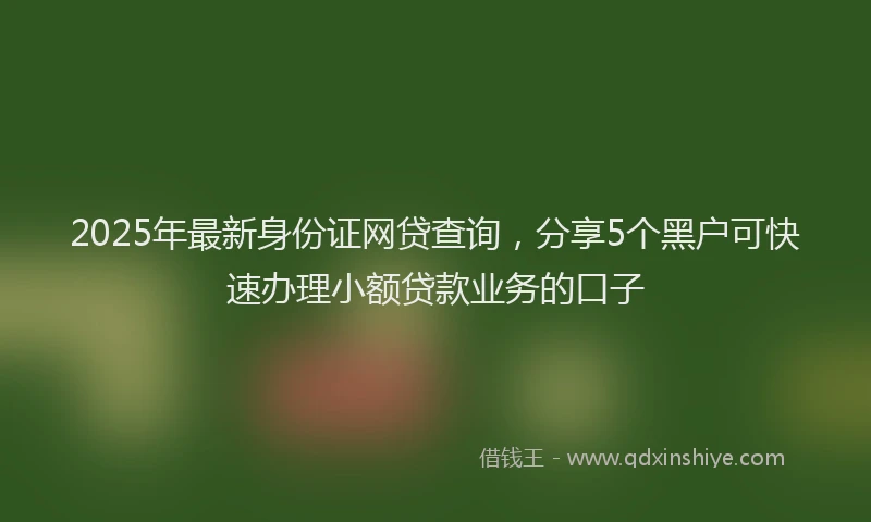 2025年最新身份证网贷查询，分享5个黑户可快速办理小额贷款业务的口子