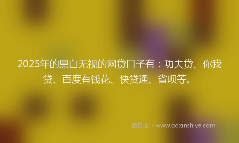 2025年的黑白无视的网贷口子有：功夫贷、你我贷、百度有钱花、快贷通、省呗等。