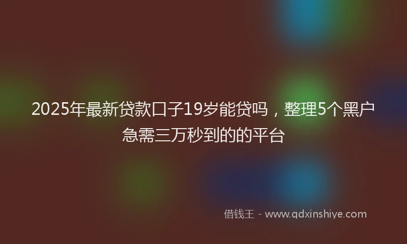 2025年最新贷款口子19岁能贷吗，整理5个黑户急需三万秒到的的平台