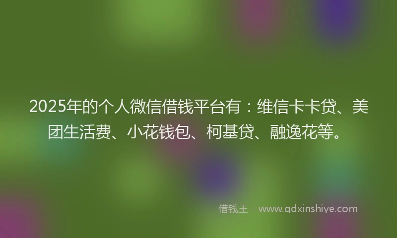 2025年的个人微信借钱平台有：维信卡卡贷、美团生活费、小花钱包、柯基贷、融逸花等。