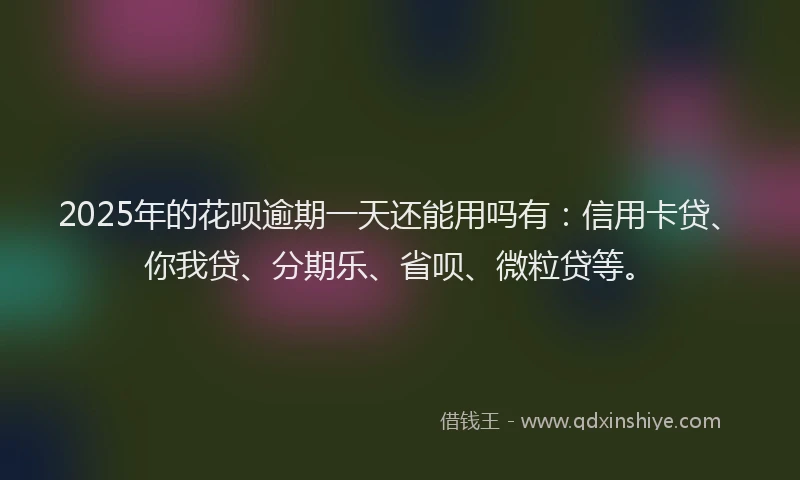 2025年的花呗逾期一天还能用吗有：信用卡贷、你我贷、分期乐、省呗、微粒贷等。