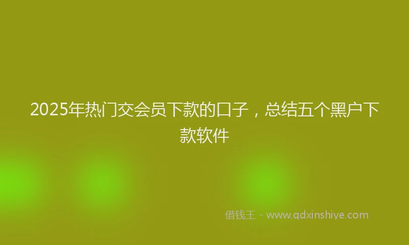 2025年热门交会员下款的口子，总结五个黑户下款软件