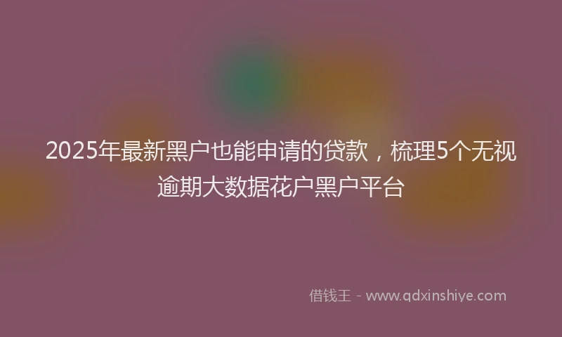 2025年最新黑户也能申请的贷款，梳理5个无视逾期大数据花户黑户平台