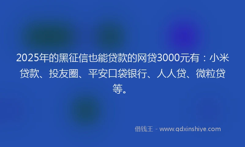 2025年的黑征信也能贷款的网贷3000元有：小米贷款、投友圈、平安口袋银行、人人贷、微粒贷等。
