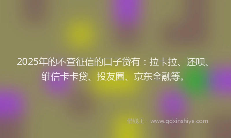 2025年的不查征信的口子贷有：拉卡拉、还呗、维信卡卡贷、投友圈、京东金融等。
