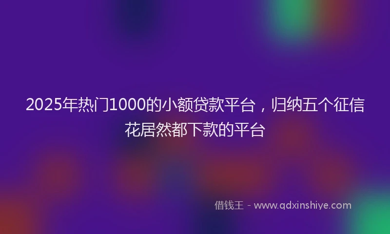 2025年热门1000的小额贷款平台，归纳五个征信花居然都下款的平台