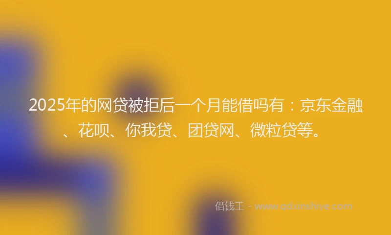 2025年的网贷被拒后一个月能借吗有：京东金融、花呗、你我贷、团贷网、微粒贷等。