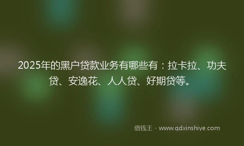 2025年的黑户贷款业务有哪些有：拉卡拉、功夫贷、安逸花、人人贷、好期贷等。