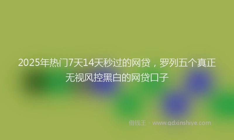 2025年热门7天14天秒过的网贷，罗列五个真正无视风控黑白的网贷口子