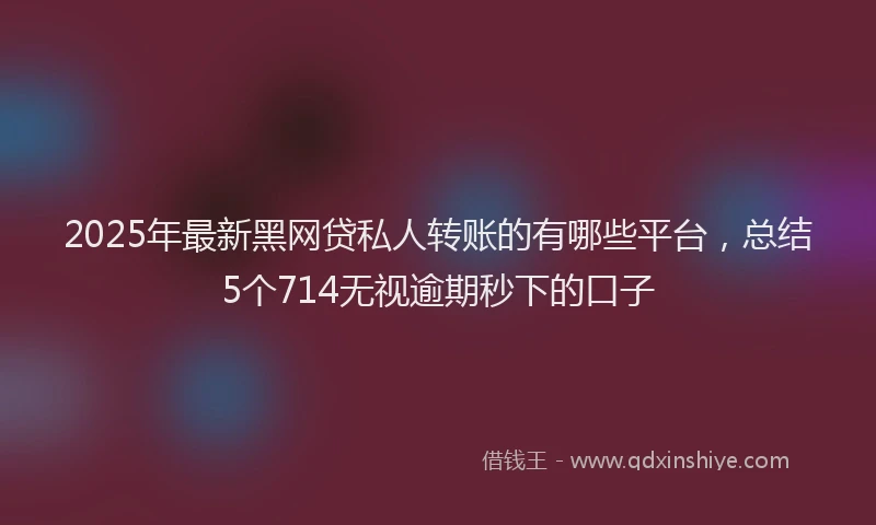 2025年最新黑网贷私人转账的有哪些平台，总结5个714无视逾期秒下的口子