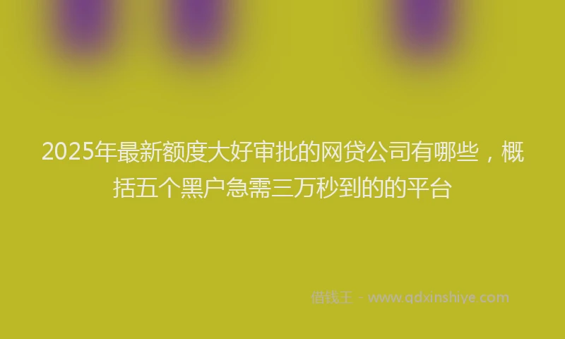2025年最新额度大好审批的网贷公司有哪些，概括五个黑户急需三万秒到的的平台