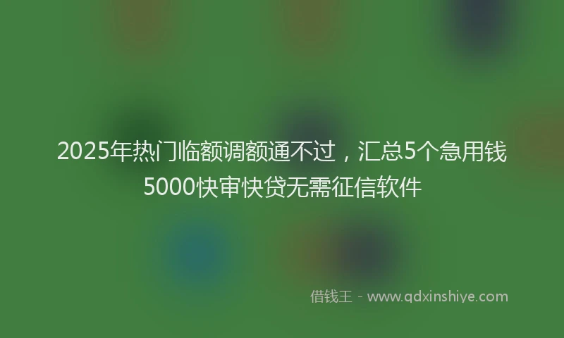 2025年热门临额调额通不过，汇总5个急用钱5000快审快贷无需征信软件