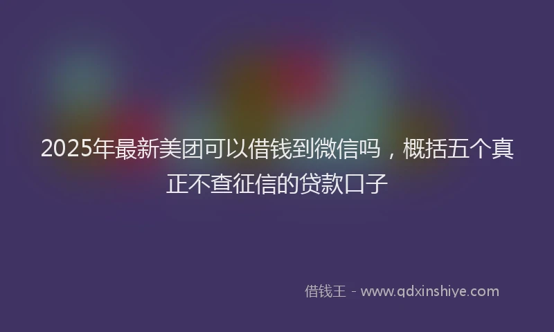 2025年最新美团可以借钱到微信吗，概括五个真正不查征信的贷款口子