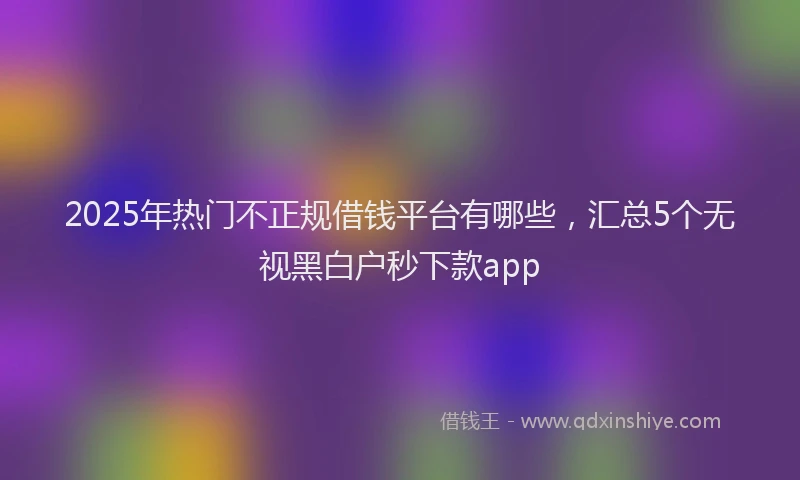 2025年热门不正规借钱平台有哪些，汇总5个无视黑白户秒下款app