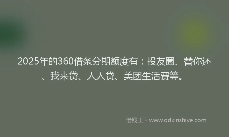 2025年的360借条分期额度有：投友圈、替你还、我来贷、人人贷、美团生活费等。