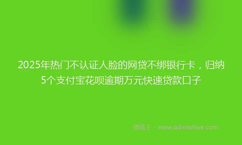 2025年热门不认证人脸的网贷不绑银行卡，归纳5个支付宝花呗逾期万元快速贷款口子