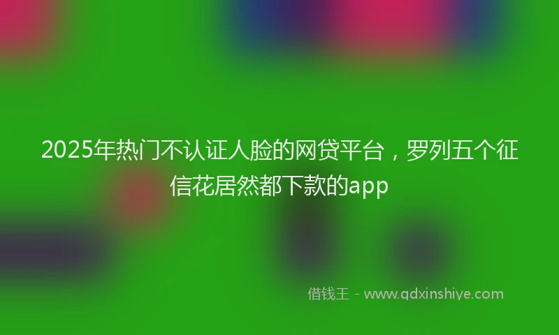 2025年热门不认证人脸的网贷平台，罗列五个征信花居然都下款的app